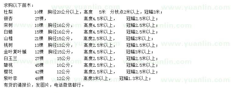 求購杜梨、銀杏 、欒樹等