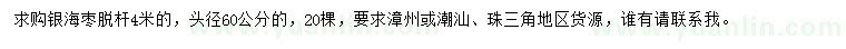 求購頭徑60公分銀海棗