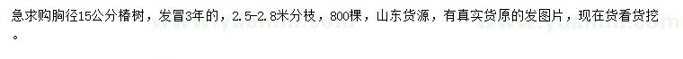求購胸徑15公分椿樹