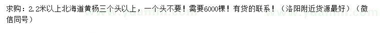 求購2.2米以上北海道黃楊