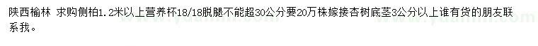 求購1.2米以上側(cè)柏