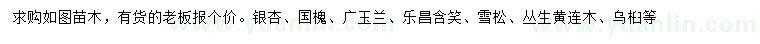 求購銀杏、國槐、廣玉蘭等