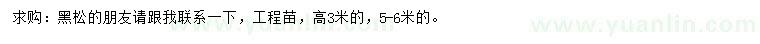 求購5-6米黑松