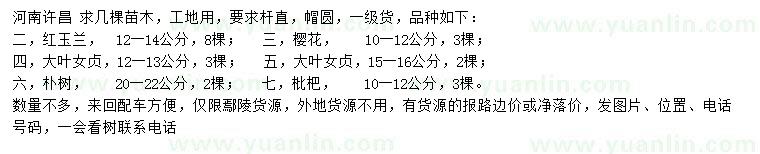 求購紅玉蘭、櫻花、大葉女貞等