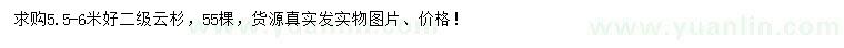 求購(gòu)5.5-6米云杉
