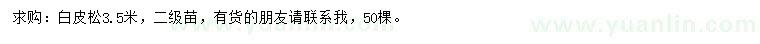 求購3.5米白皮松