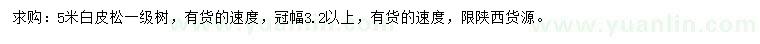 求購5米白皮松