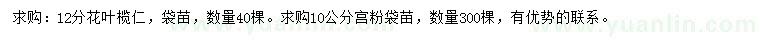 求購10公分宮粉、12公分花葉欖仁