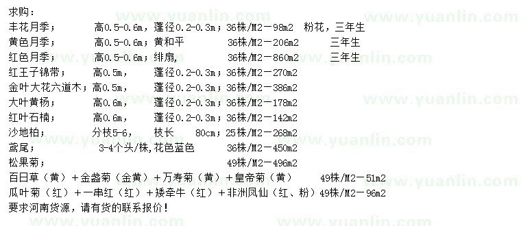 求購月季、大葉黃楊、紅葉石楠等