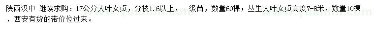 求購17公分大葉女貞