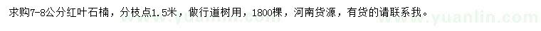 求購7-8公分紅葉石楠