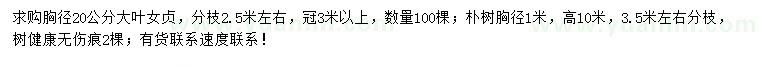 求購(gòu)胸徑20公分大葉女貞、胸徑1米樸樹