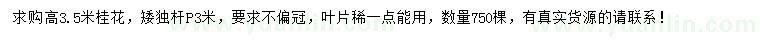 求購(gòu)高3.5米桂花
