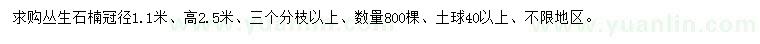 求購冠幅1.1米叢生石楠