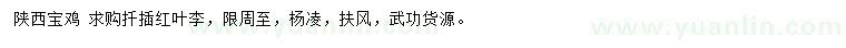 求購紅葉李