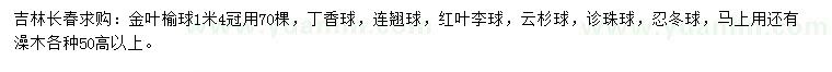 求購(gòu)金葉榆球、丁香球、連翹球等