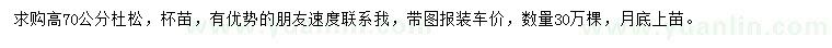 求購(gòu)高70公分杜松