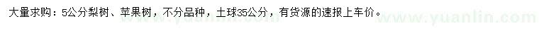 求購5公分梨樹、蘋果樹