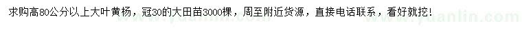 求購高80公分以上大葉黃楊