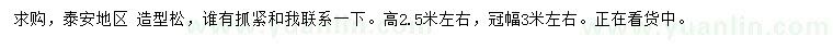 求購(gòu)高2.5米左右造型松