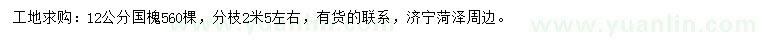求購12公分國槐