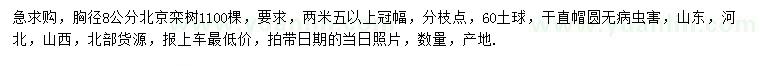求購胸徑8公分欒樹