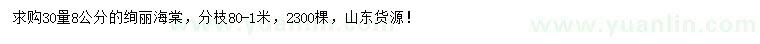 求購30量8公分絢麗海棠