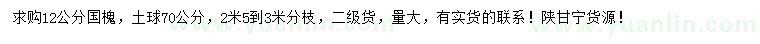 求購12公分國槐