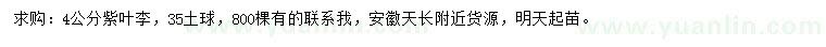求購4公分紫葉李