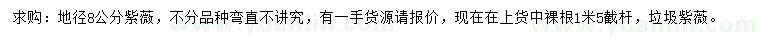 求購(gòu)地徑8公分紫薇