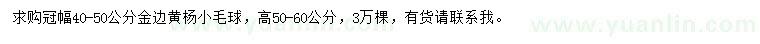 求購冠幅40-50公分金邊黃楊
