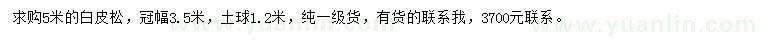 求購5米白皮松