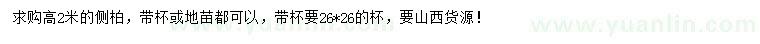 求購高2米側柏