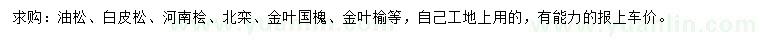 求購油松、白皮松、河南檜等