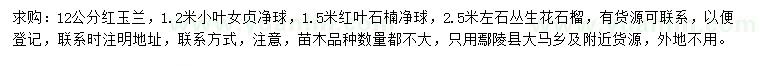 求購紅玉蘭、小葉女貞球、紅葉石楠球等