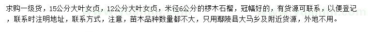 求購(gòu)12、15公分大葉女貞、6公分欏木石楠