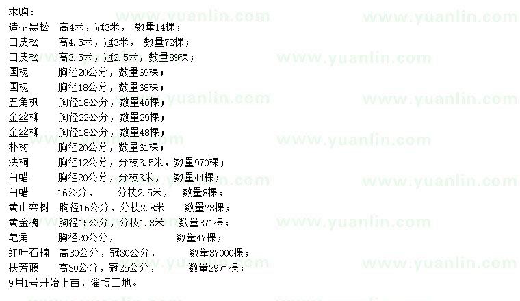 求購(gòu)黑松、白皮松、國(guó)槐等