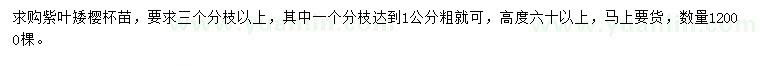 求購高60公分以上紫葉矮櫻