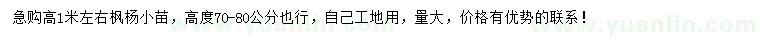 求購(gòu)高1米左右楓楊小苗