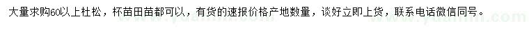 求購60公分以上杜松