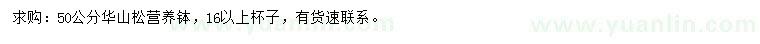 求購(gòu)50公分華山松