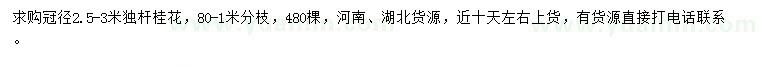 求購(gòu)冠幅2.5-3米桂花