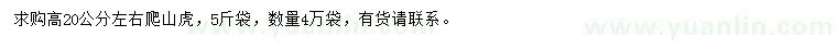 求購高20公分左右爬山虎