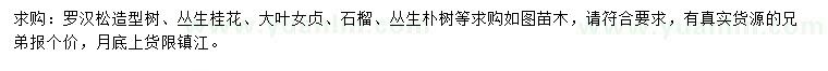 求購羅漢松、叢生桂花、大葉女貞等
