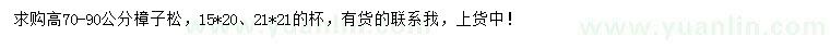 求購高70-90公分樟子松