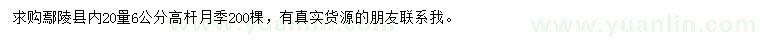 求購20量6公分月季
