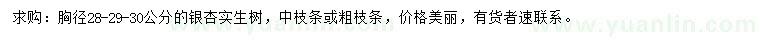求購(gòu)胸徑28、29、30公分的銀杏
