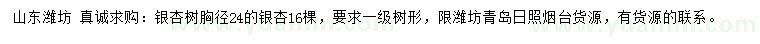 求購胸徑24公分銀杏