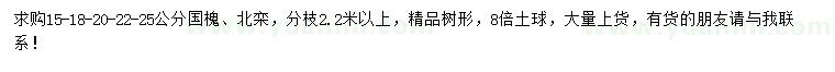 求購(gòu)15、18、20、22、25公分國(guó)槐、北欒