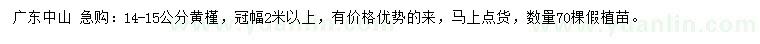 求購(gòu)14-15公分黃槿